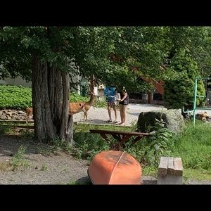 Meet your Posher, Deborah